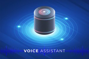 Rockland county Local SEO voice search